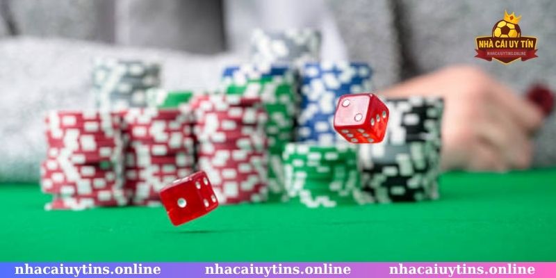 Đặt cược cảm tính là sai lầm nghiêm trọng cần phải tránh