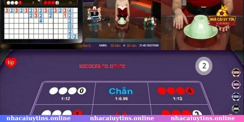 Hướng dẫn cách nghe tiếng xóc dia chuẩn