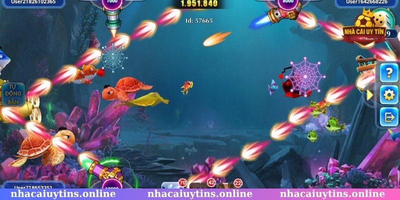 Tập trung rèn luyện kỹ năng giúp cược thủ săn cá hiệu quả